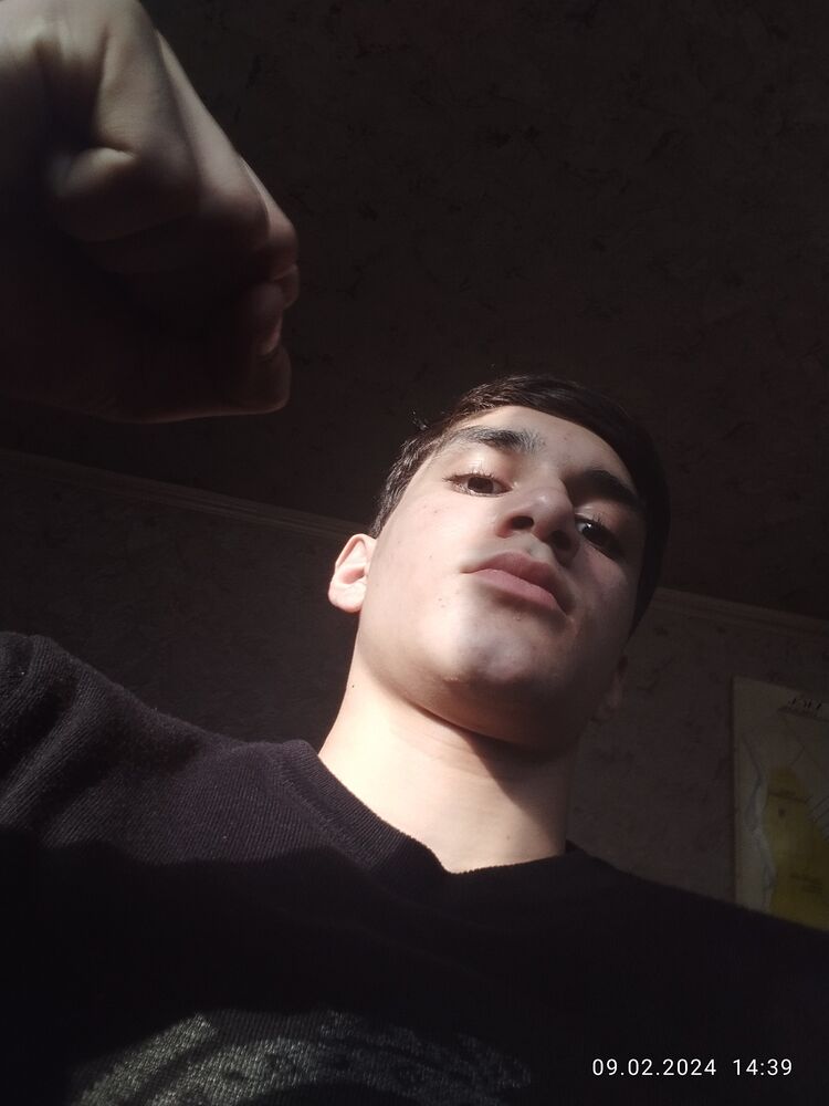  41604053  , 23 ,    