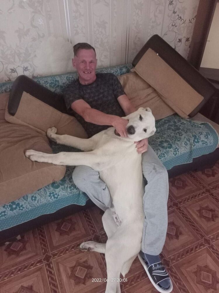 ���� 40999063 ������� �������, 38 ���, ���� ���������� � �����