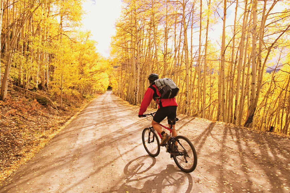  27794173  Sergej, 34 ,    