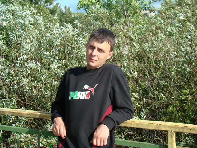  ,   , 41 ,   