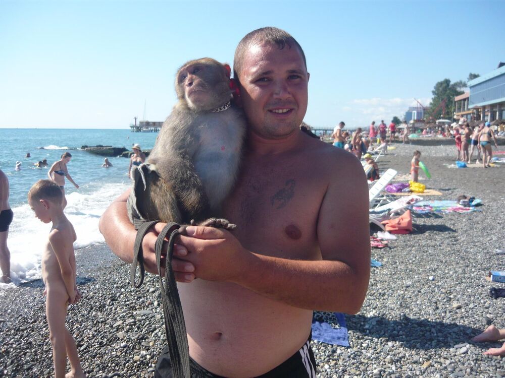 ���������� ���������, ���� ������� ���������, 38 ���, ������������ ��� ������