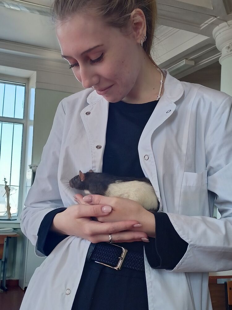 ���� 55343013 ������� ���������, 21 ���, ���� ���������� � ����������