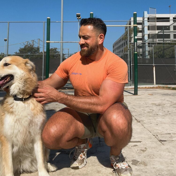 ���� 53796083 ������� ����������, 36 ���, ���� ���������� � ������