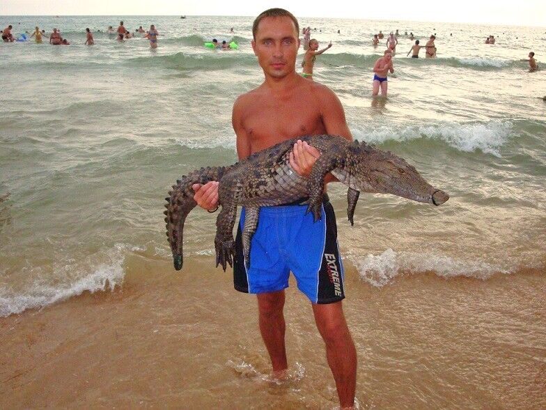 ���� 8777743 ������� ���, 48 ���, ���� ���������� � ���������