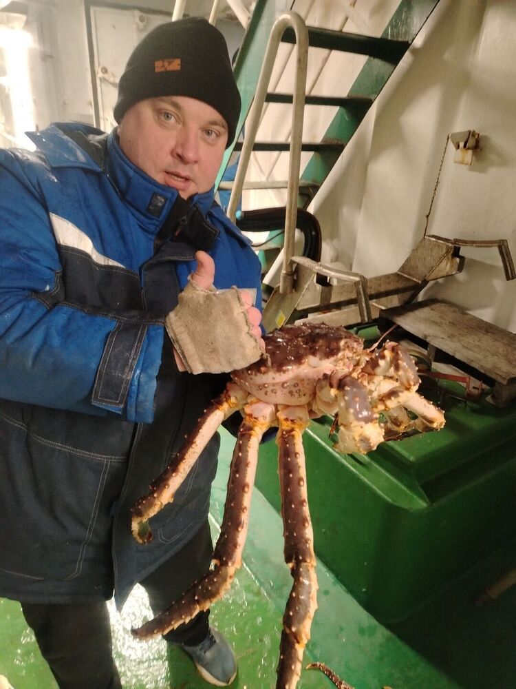 ���� 55994283 ������� ������, 42 ����, ���� ���������� � ������������