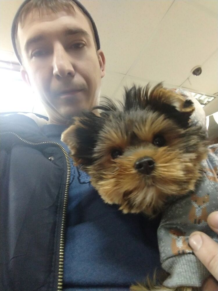 ���� 18924503 ������� �����, 36 ���, ���� ���������� � ��������