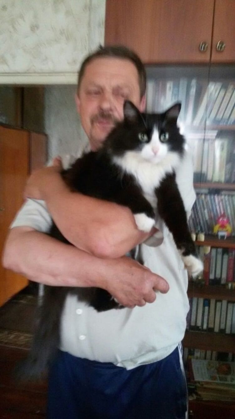  ,    , 66 ,   ,   