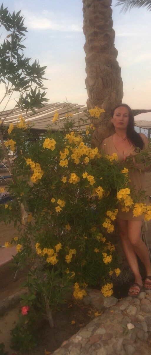 ���������� �����, ���� ������� �����, 44 ����, ������������ ��� ����� � ���������, c�������� ���������