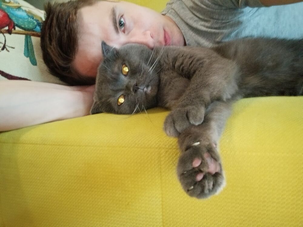 ���������� ���������, ���� ������� ������, 33 ����, ������������ ��� ������, ����� � ���������, c�������� ���������