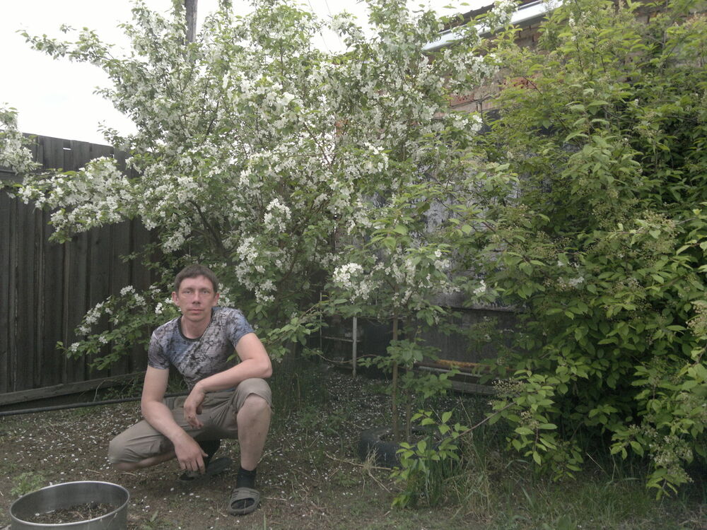 ���� 6662243 ������� �������, 48 ���, ���� ���������� � ����