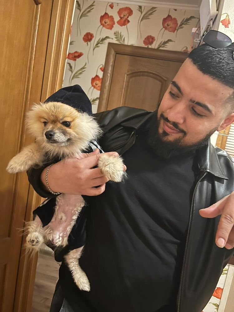 ���������� ������, ���� ������� ������, 31 ���, ������������ ��� ����� � ���������, c�������� ���������