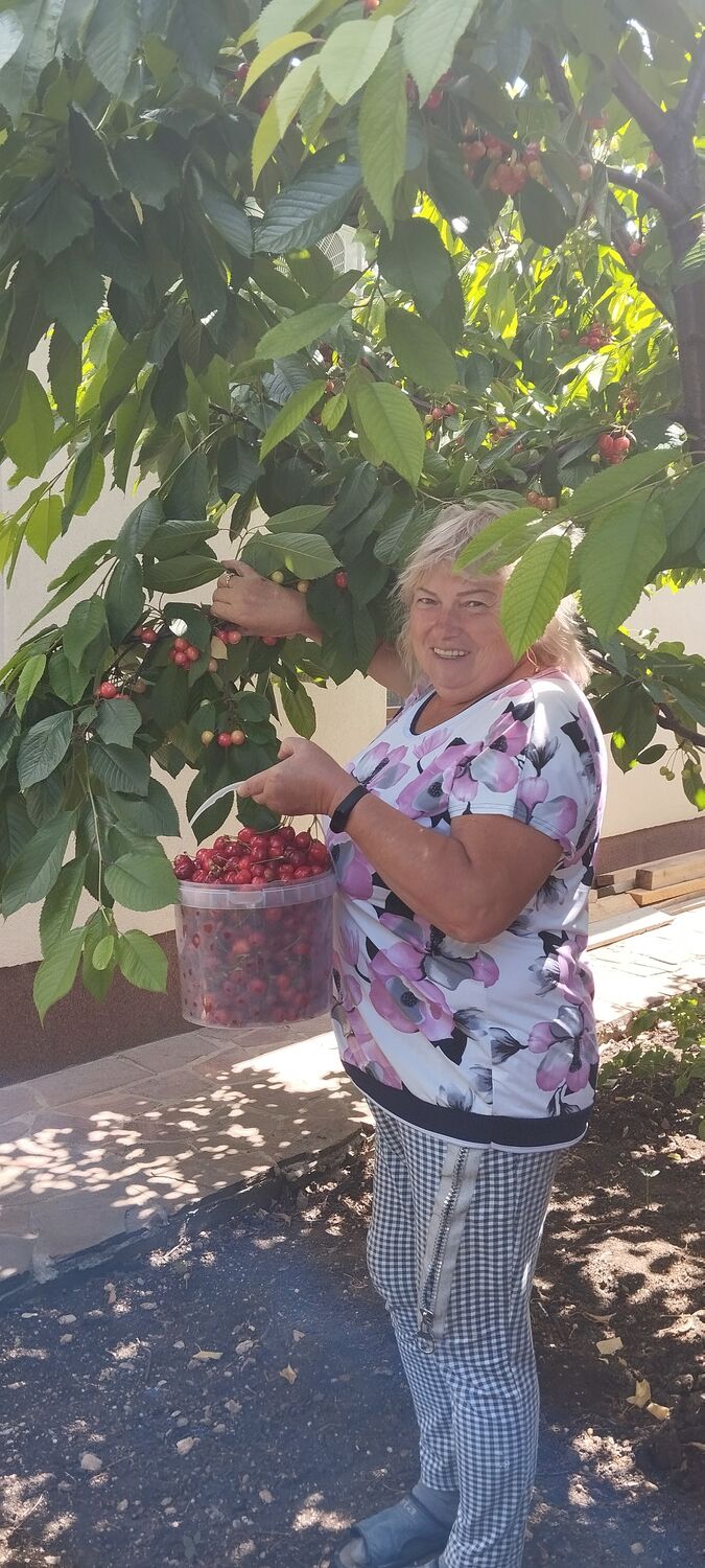  ,   , 65 ,   ,   
