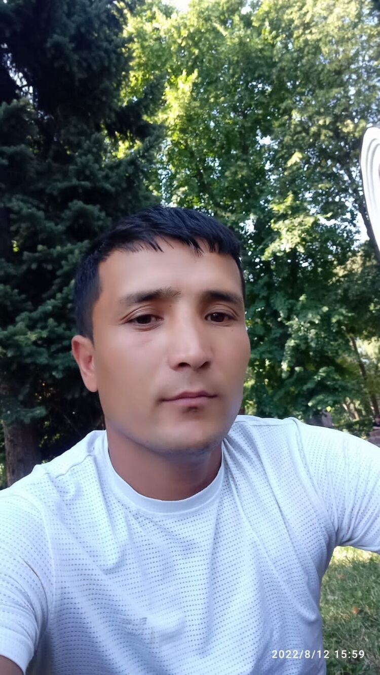  33342703  , 33 ,    