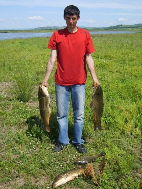 ���� 8892803 ������� ���������, 37 ���, ���� ���������� � ����������