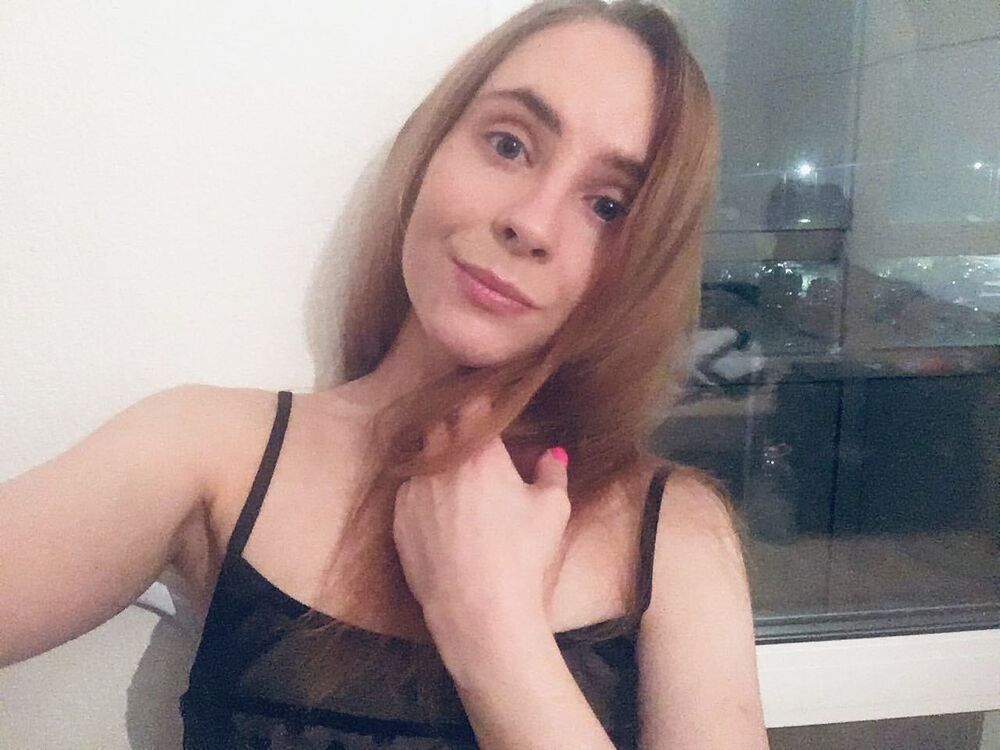  33659533  , 29 ,    -