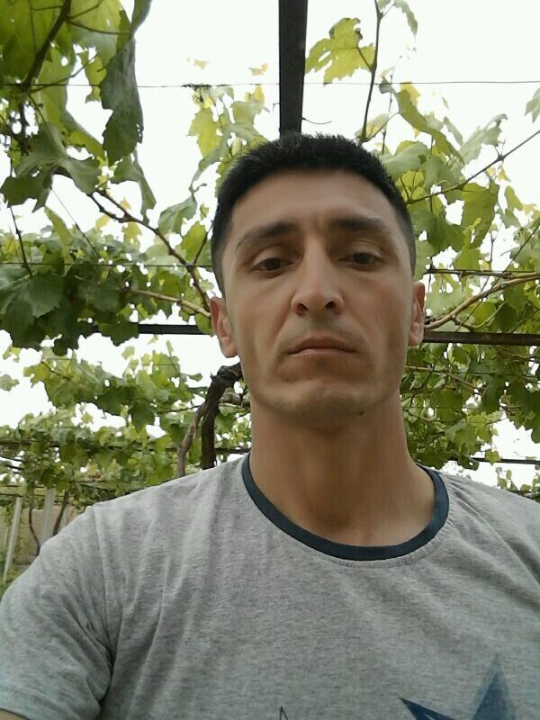  38099013  , 41 ,    
