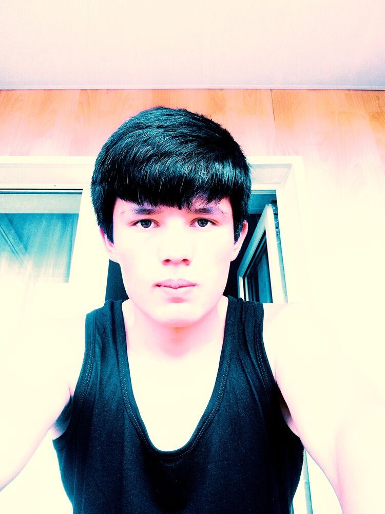 ���� 31636543 ����� SHAPIFDJON, 24 ����, ���� ���������� � �����-����������