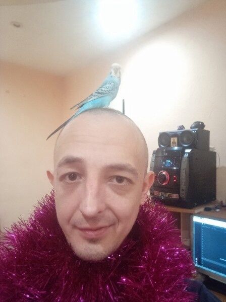  ,   , 35 ,  