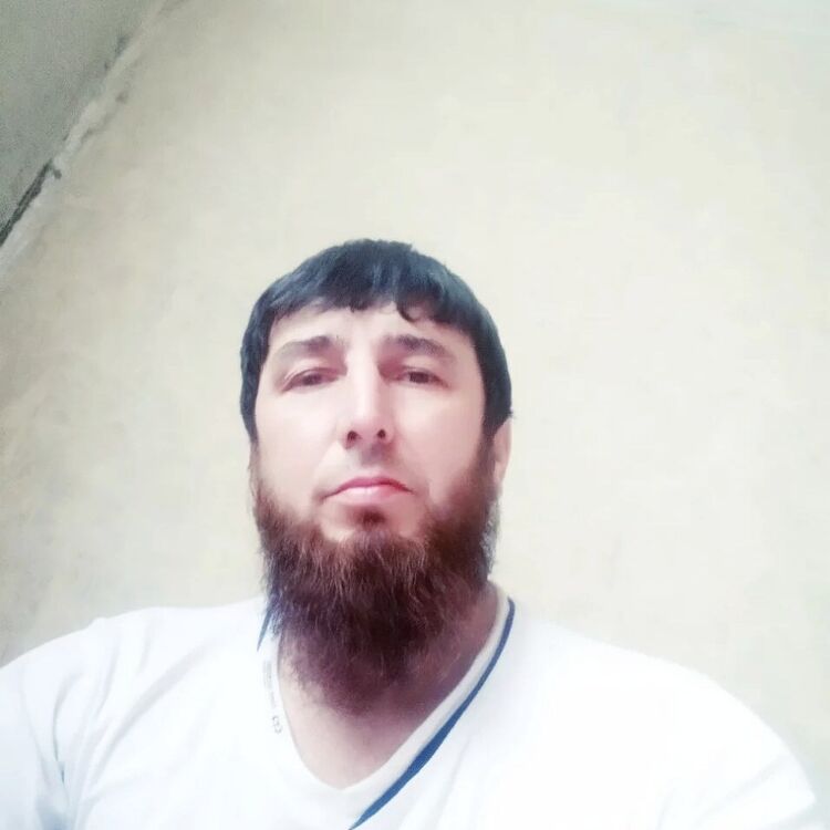 ���� 23124443 ������� ���, 50 ���, ���� ���������� � ������