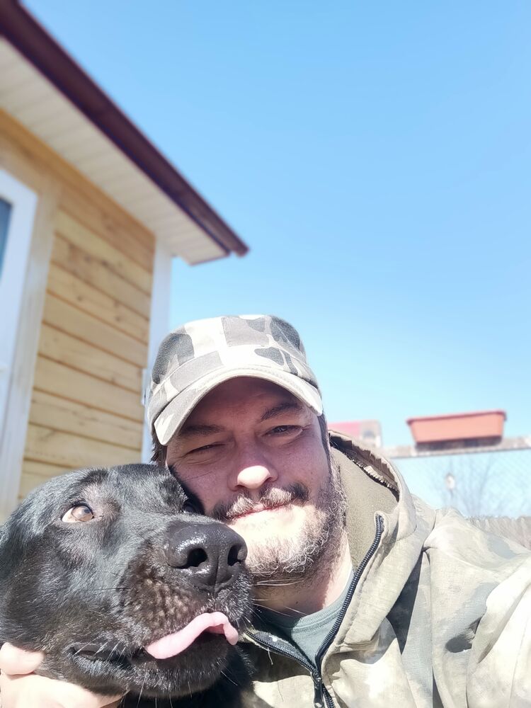 ���� 56034503 ������� ������, 45 ���, ���� ���������� � ������