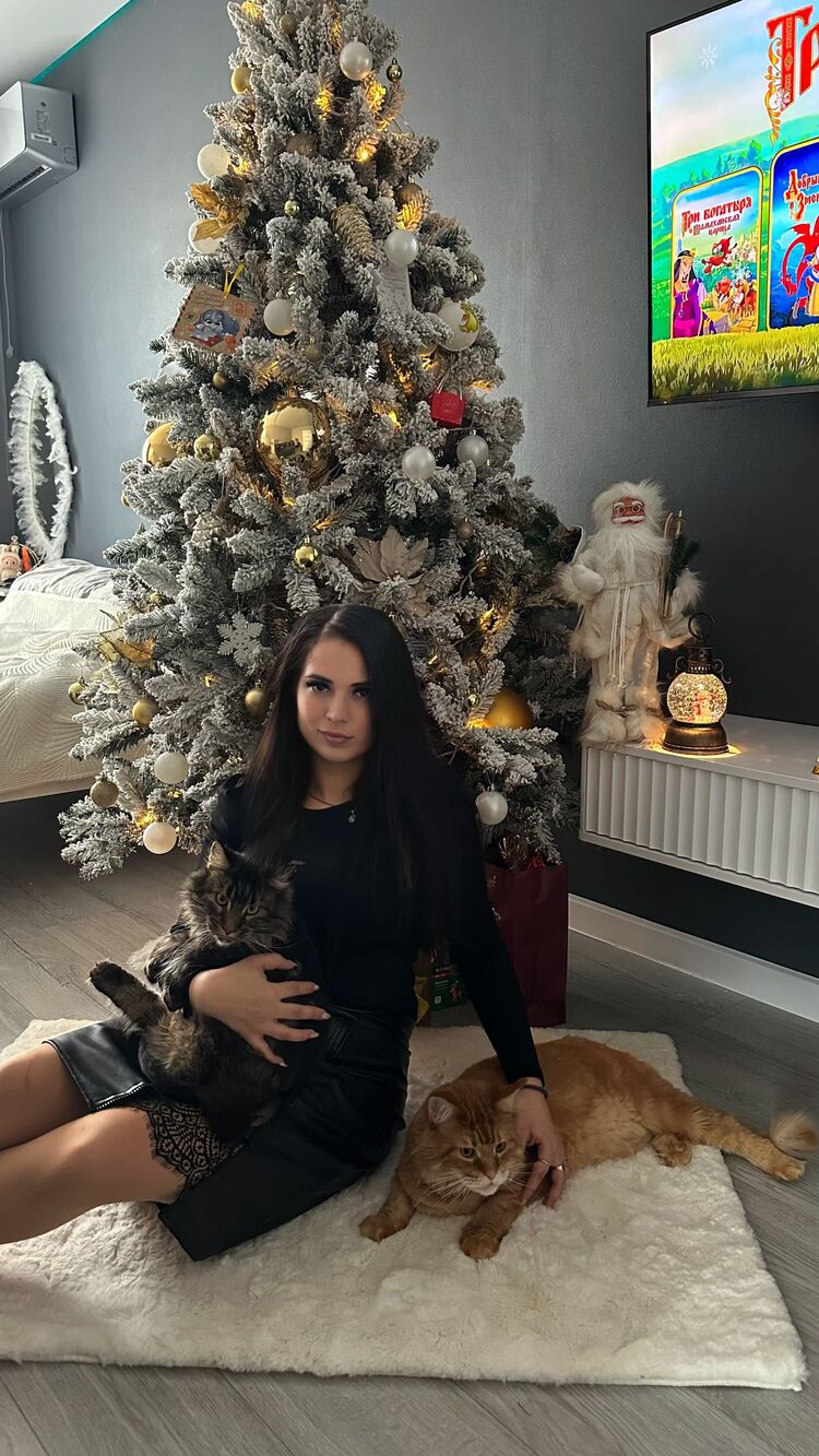 ���������� ���������, ���� ������� �������, 31 ���, ������������ ��� c�������� ���������