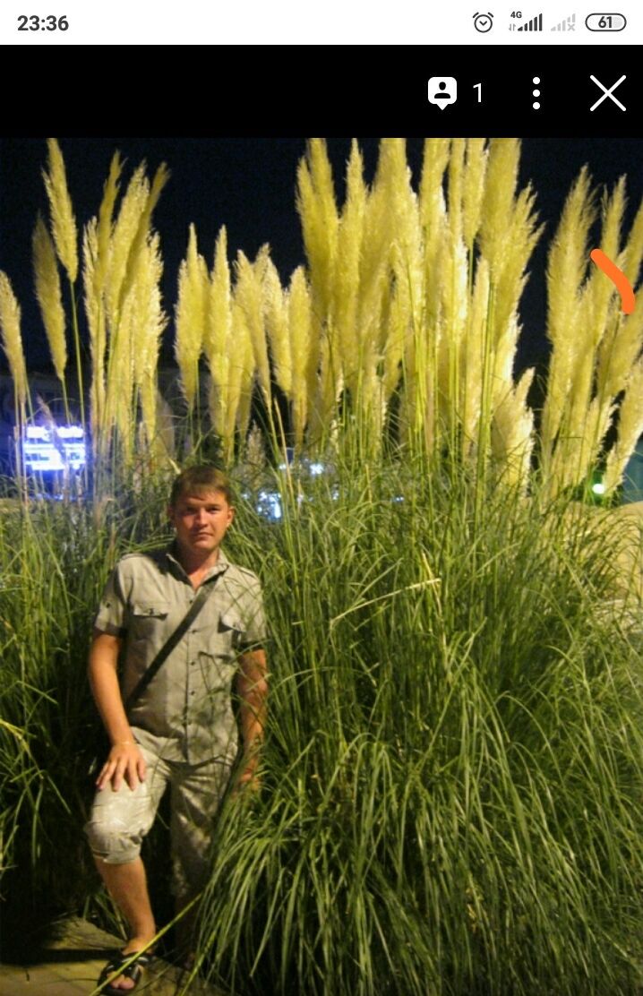 ���� 29381763 ������� �����, 39 ���, ���� ���������� � ��������