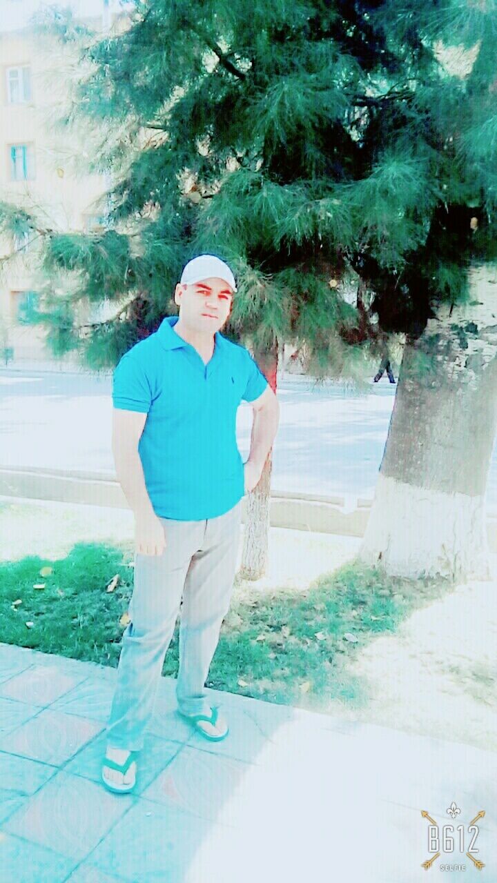 26453213  , 39 ,    
