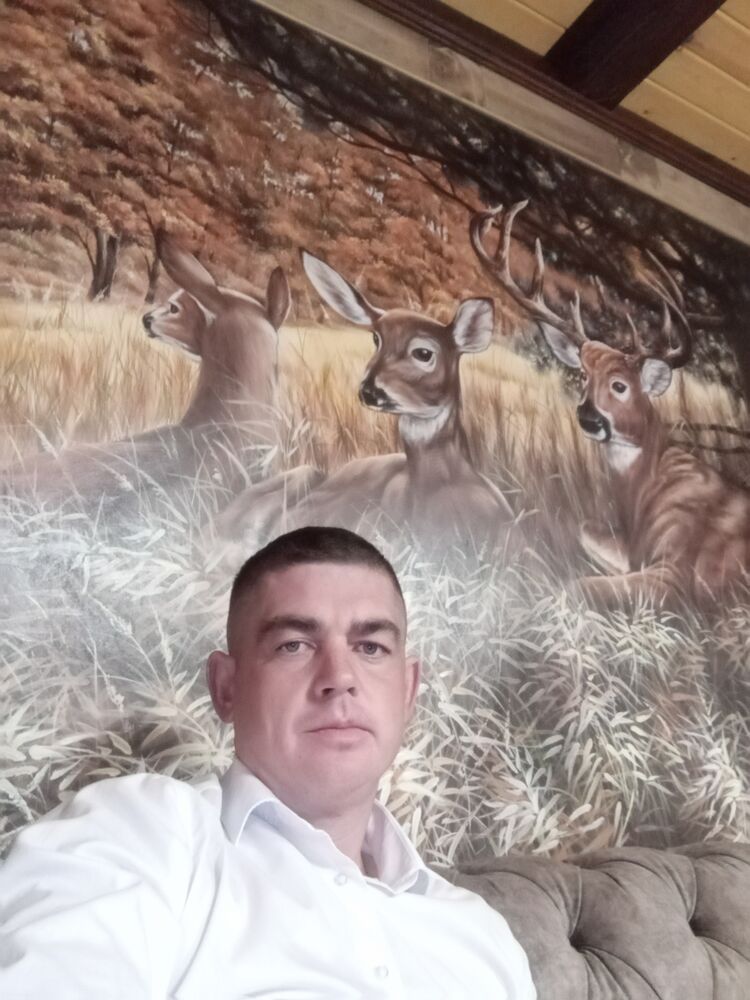  31316033  , 34 ,    