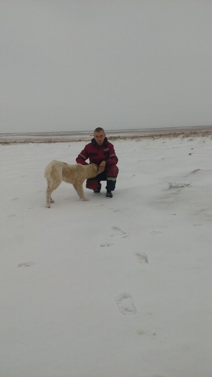  ,   , 32 ,     , c , 