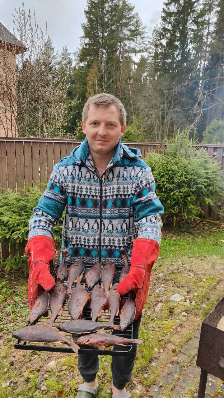  44648473  , 31 ,    -