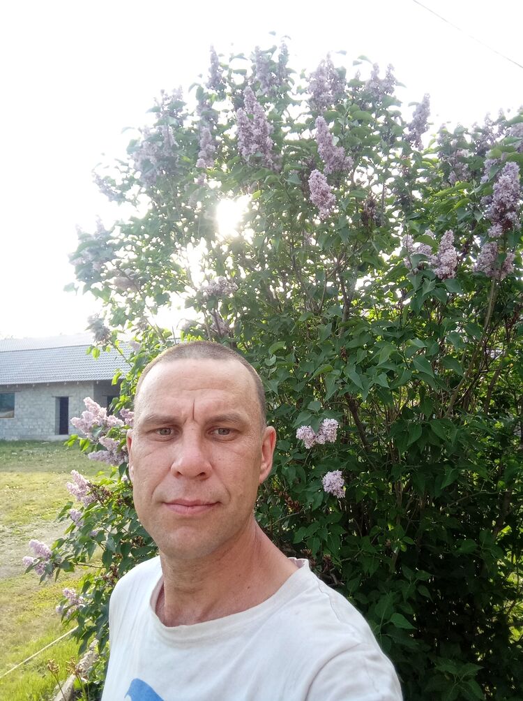  49014493  , 41 ,    -