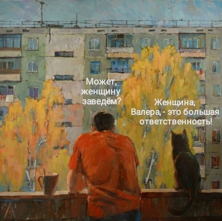  53007973  , 38 ,    