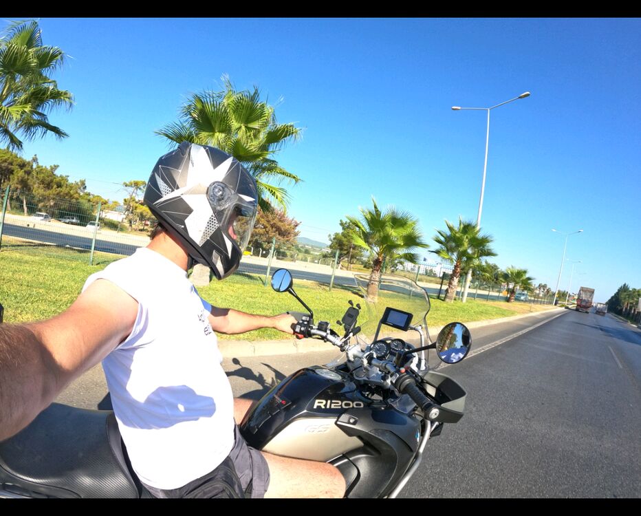 ���� 39192763 ������� ����, 38 ���, ���� ���������� � ������