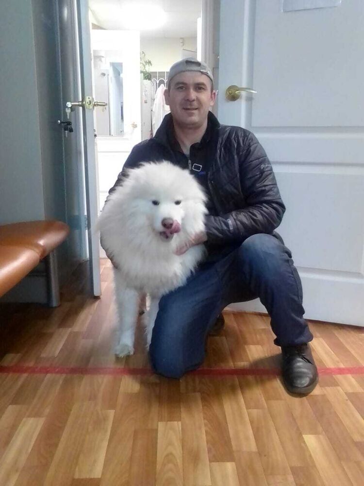 ���� 28478333 ������� �����, 40 ���, ���� ���������� � ���������