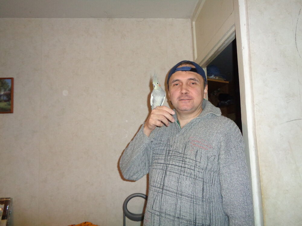  ,   , 52 ,   ,   , c 