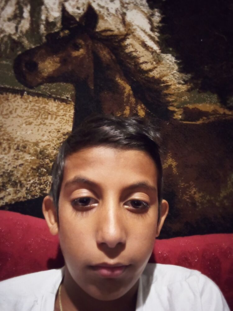 ���� 55154633 ������� ��������, 33 ����, ���� ���������� � ��������