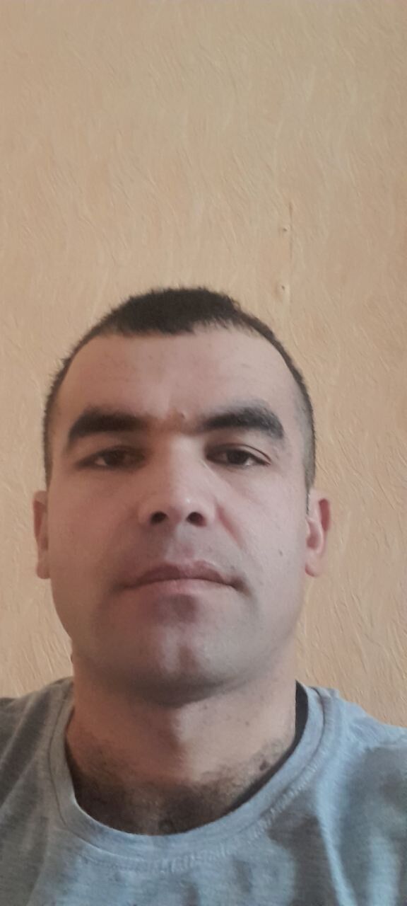 ���� 41685133 ������� ������, 36 ���, ���� ���������� � ���������