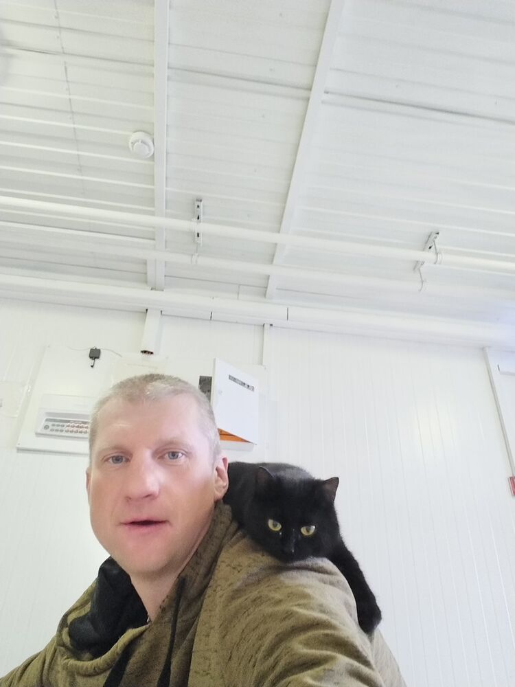 ���� 56035473 ������� �������, 42 ����, ���� ���������� � ������