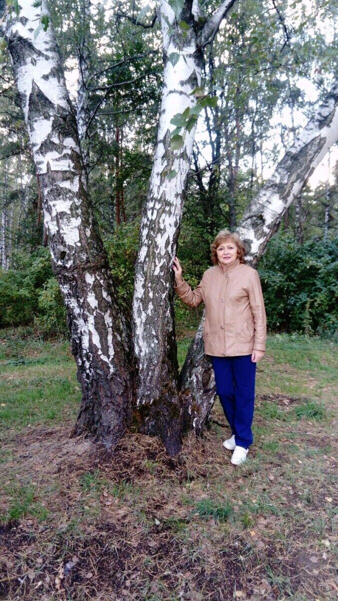 ���� 20036593 ������� �������, 65 ���, ���� ���������� � ������