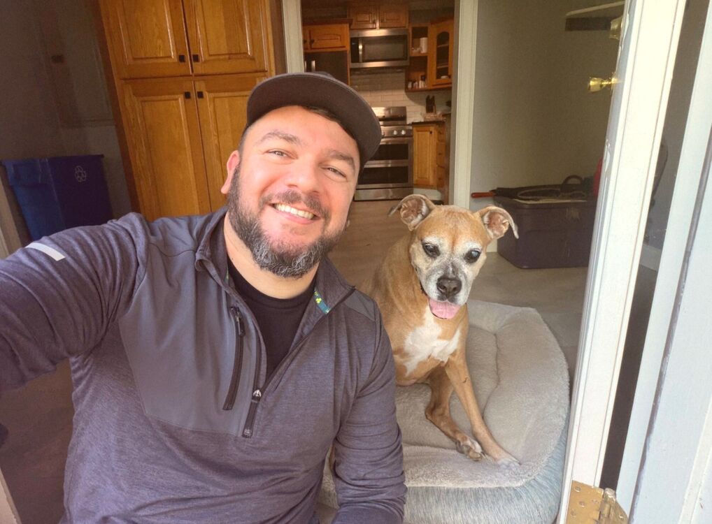 ���� 54950533 ������� ����, 45 ���, ���� ���������� � ����