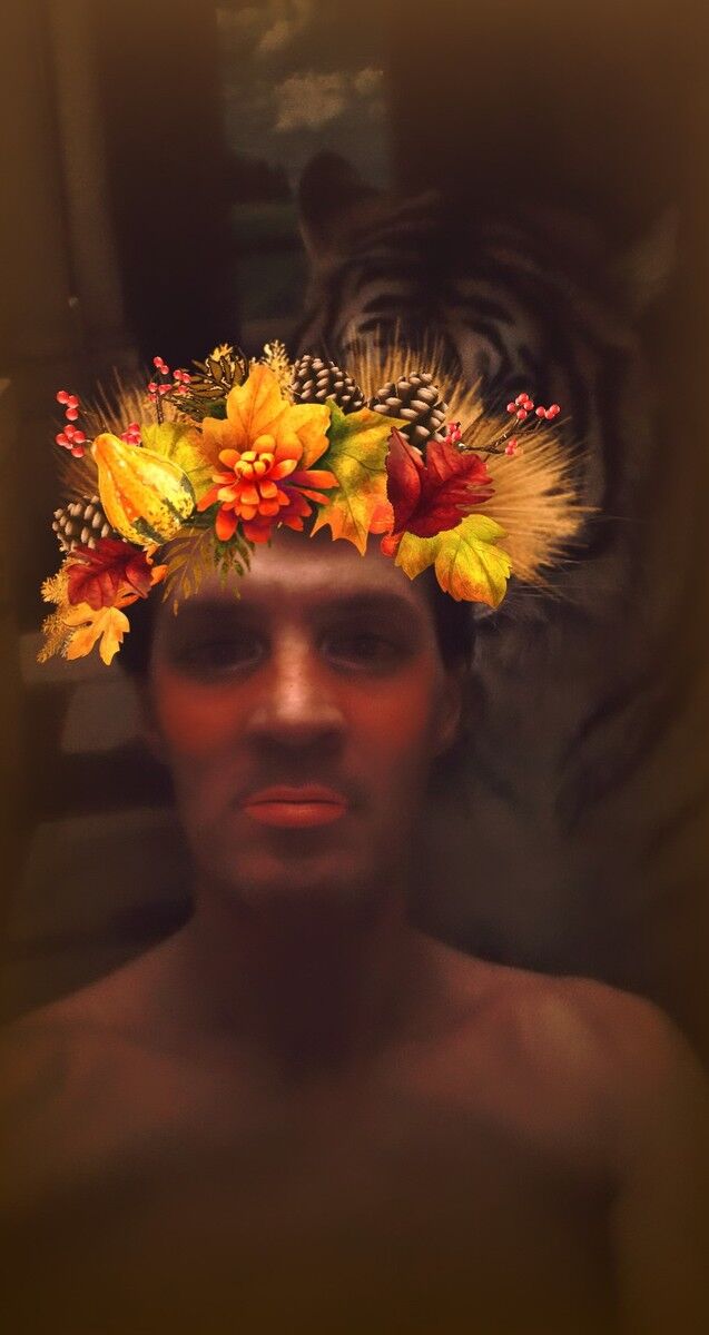 ���������� ����������, ���� ������� �����, 49 ���, ������������ ��� ������, ����� � ���������, c�������� ���������