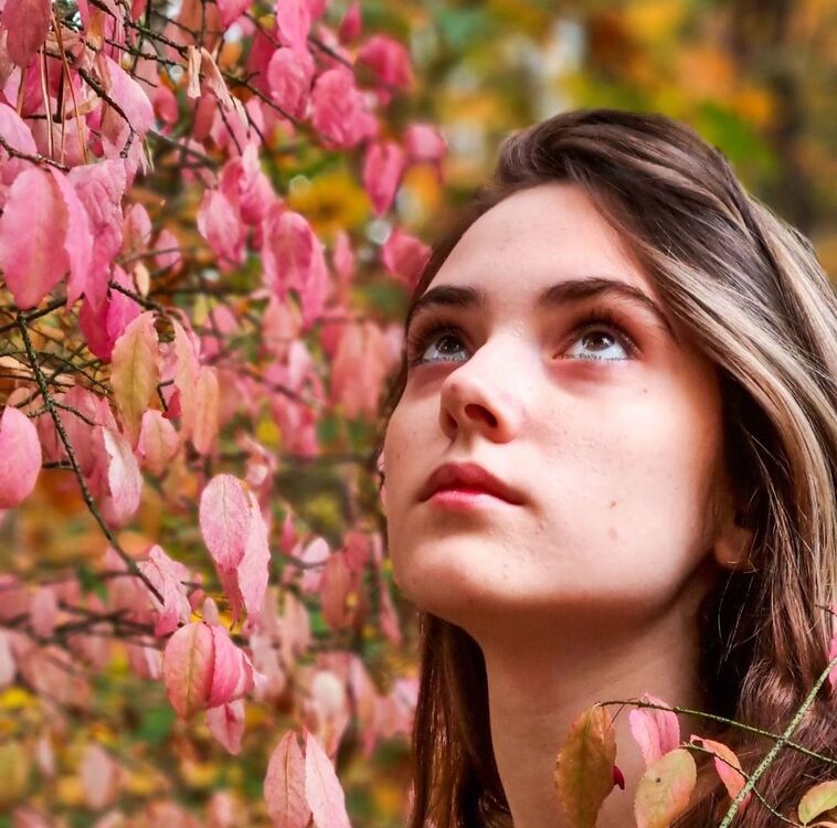 ���������� ������, ���� ������� ����, 25 ���, ������������ ��� ������, ����� � ���������, c�������� ���������