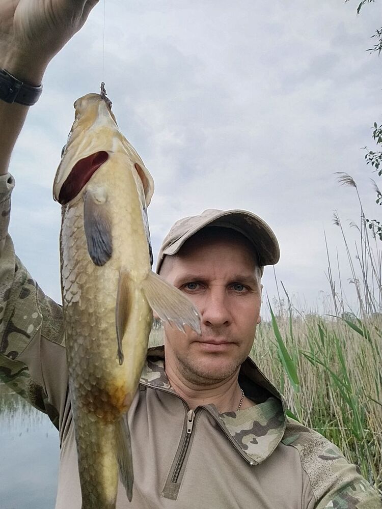 ���� 55410993 ������� �������, 42 ����, ���� ���������� � �����