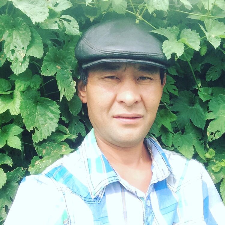  23512933  , 45 ,    -