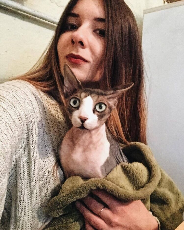 ���������� �����������, ���� ������� �����, 37 ���, ������������ ��� ������, ����� � ���������