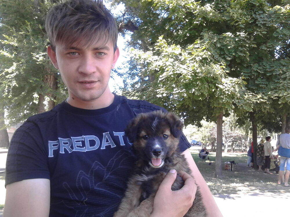 ���������� ������ ���, ���� ������� �����, 39 ���, ������������ ��� ������, ����� � ���������, c�������� ���������