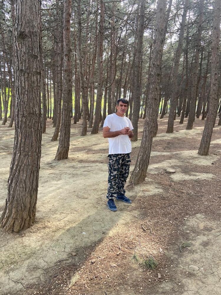 ���� 36181003 ������� �������, 49 ���, ���� ���������� � ������������