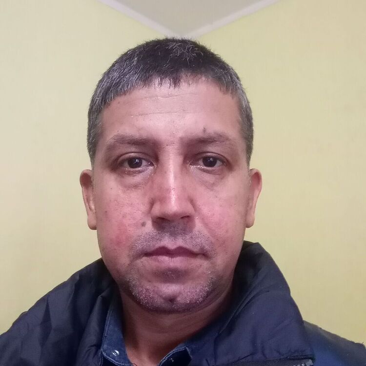  53838053  , 40 ,    