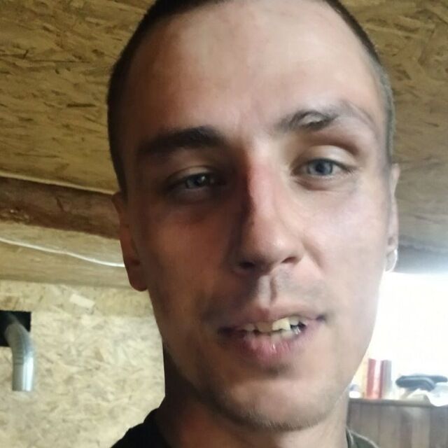  52582503  , 31 ,     