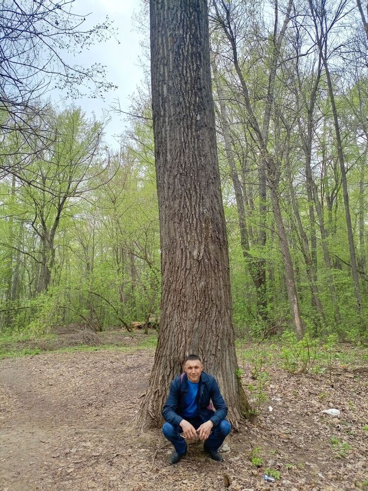 ���������� ���, ���� ������� ������, 39 ���, ������������ ��� ������, ����� � ���������